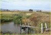 Strategy for Resolving MeHg and Low Dissolved Oxygen Events- Northern Suisun Marsh